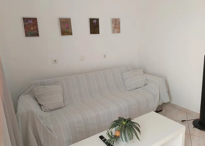 Layla\'S Home