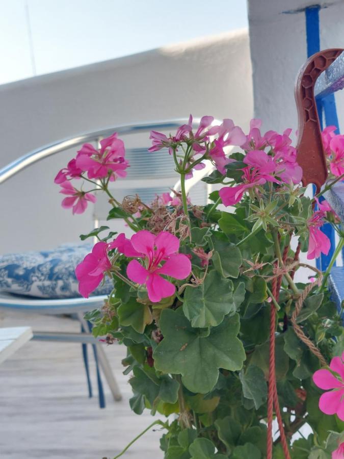 Layla's Appartement
